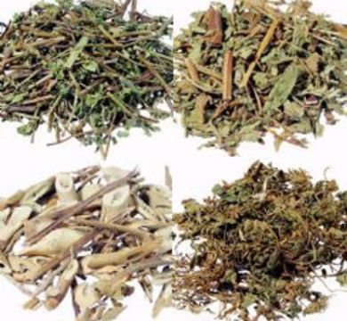 Chinese Herbal Medicine